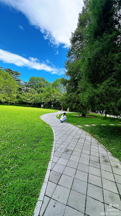 详细阅读:马田公园:和谐之美,城市绿洲 马田公园:和谐之美,城市绿洲