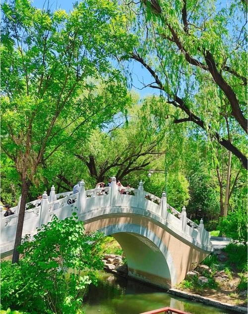 探秘福海公园：繁华都市中的宁静绿洲