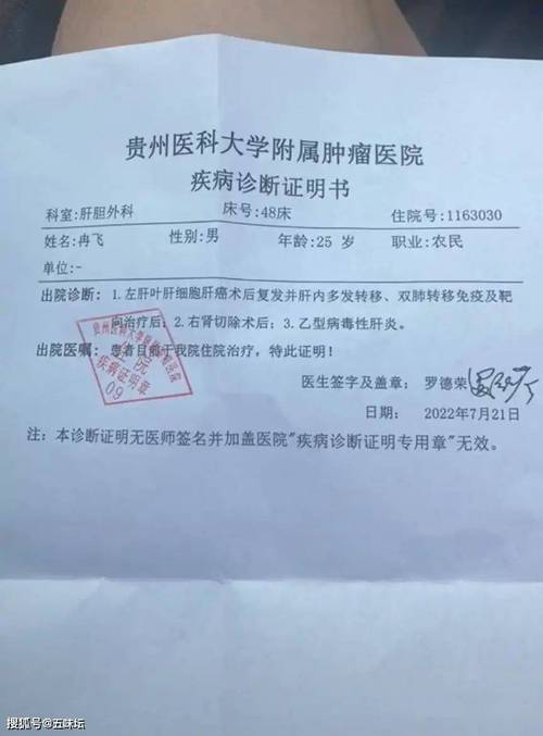 详细阅读:诊断:开启健康与疾病的真相之门 诊断:开启健康与疾病的真相之门