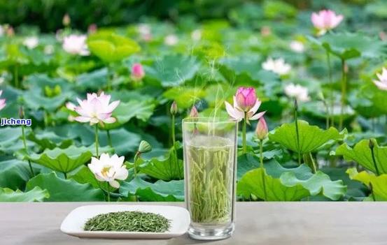 详细阅读:花草茶:品味自然,邂逅美好 花草茶:品味自然,邂逅美好