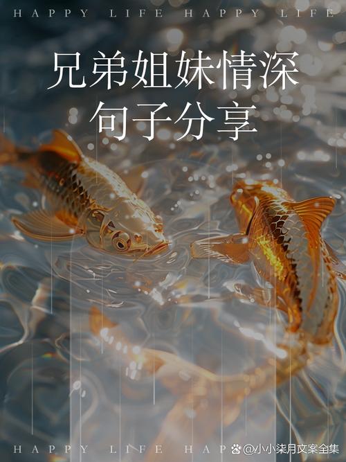 兄弟姐妹情谊：岁月长河中的璀璨明珠