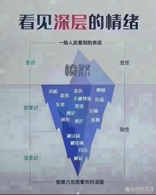 详细阅读:情绪的镜子——行为背后的情感密码解读 情绪的镜子——行为背后的情感密码解读