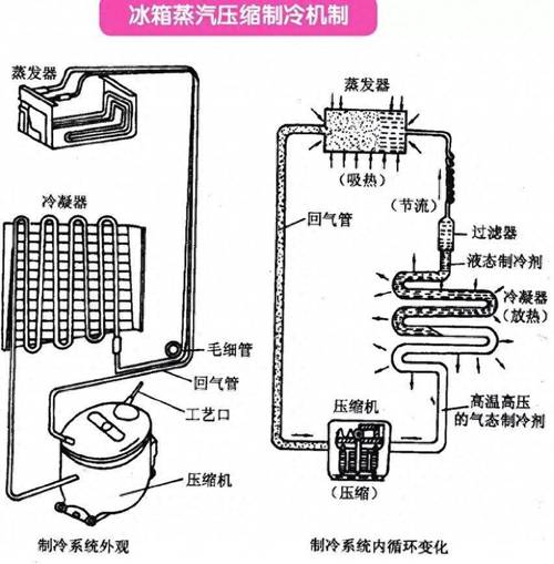 探寻冰箱的奥秘：从原理到生活应用