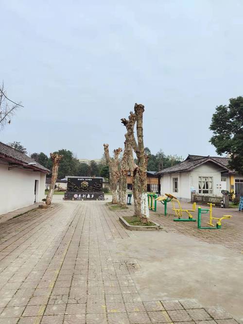 详细阅读:崇州凡朴生活:于山水间绘就诗意日常,寻心灵原乡 崇州凡朴生活:于山水间绘就诗意日常,寻心灵原乡