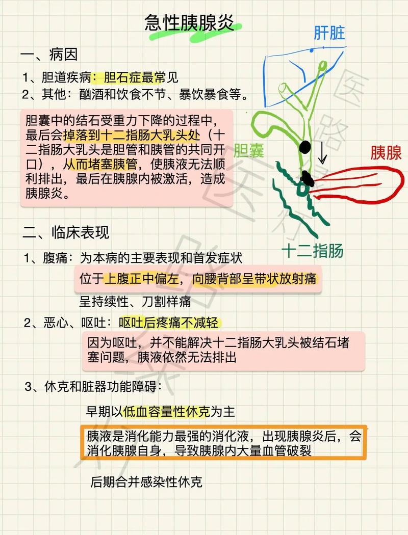 胰腺炎的治疗与康复全攻略