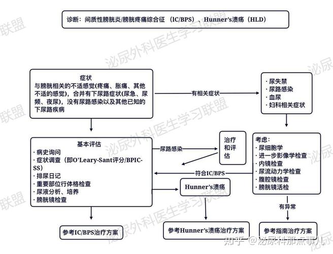 膀胱炎的治疗方法及综合指南