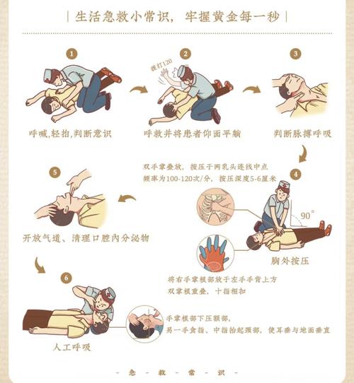 心肌梗死：急救与治疗指南