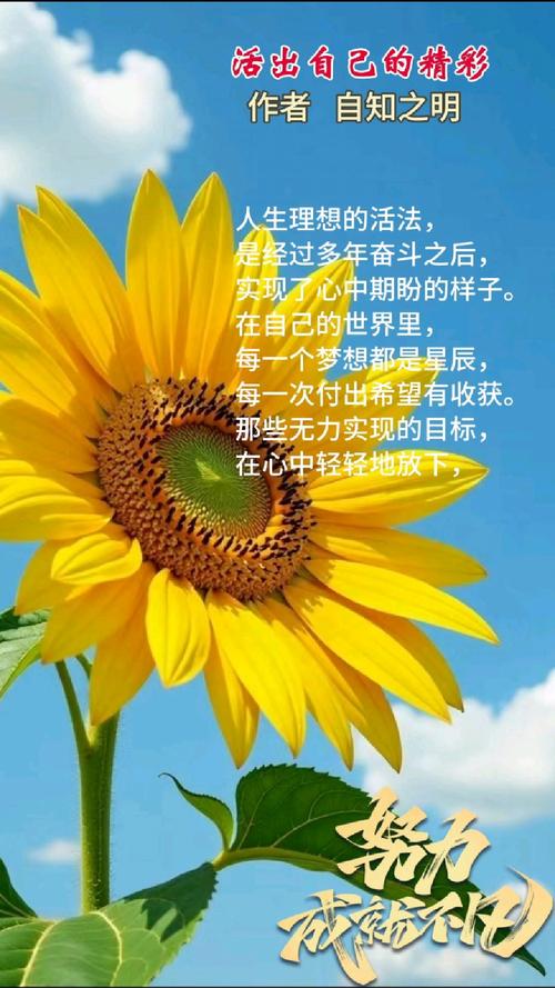雕琢强大自我，绽放生命华彩
