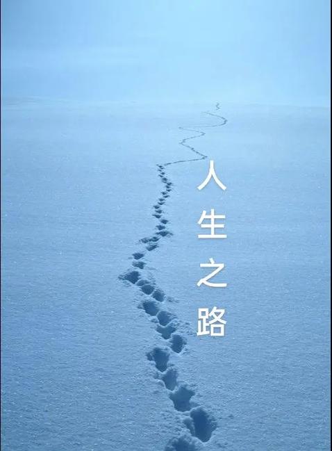 详细阅读:道路:人生的旅程与方向 道路:人生的旅程与方向