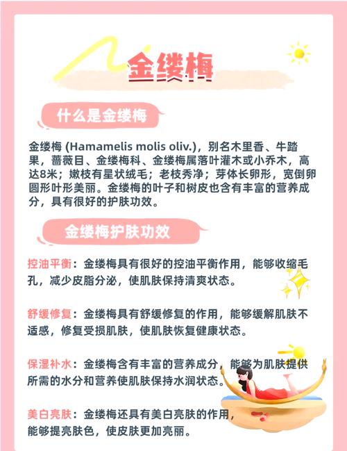 详细阅读:金缕梅控油收敛:肌肤清爽的秘密武器 金缕梅控油收敛:肌肤清爽的秘密武器