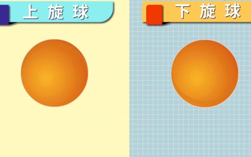 详细阅读:乒乓球:小球大世界,旋转跃动的传奇 乒乓球:小球大世界,旋转跃动的传奇