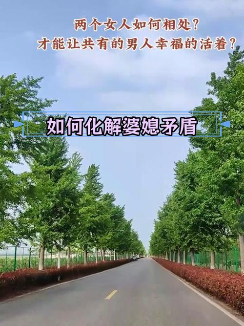 婆媳兴趣爱好：从碰撞到融合，共筑和谐家庭乐章