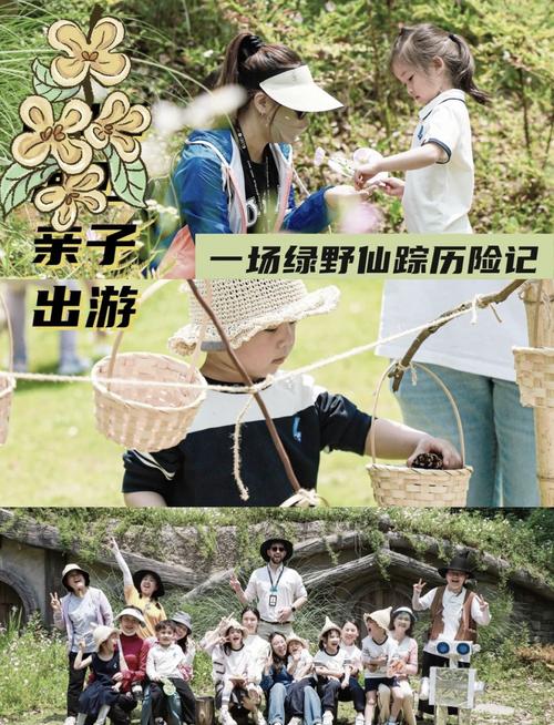 “绿野仙踪，亲子同行”：一场自然与亲情交织的户外盛宴
