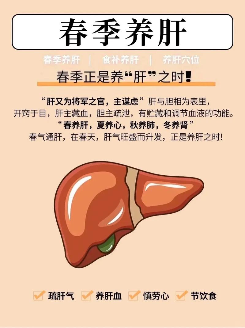 详细阅读:养肝养生:呵护肝脏,畅享健康生活 养肝养生:呵护肝脏,畅享健康生活
