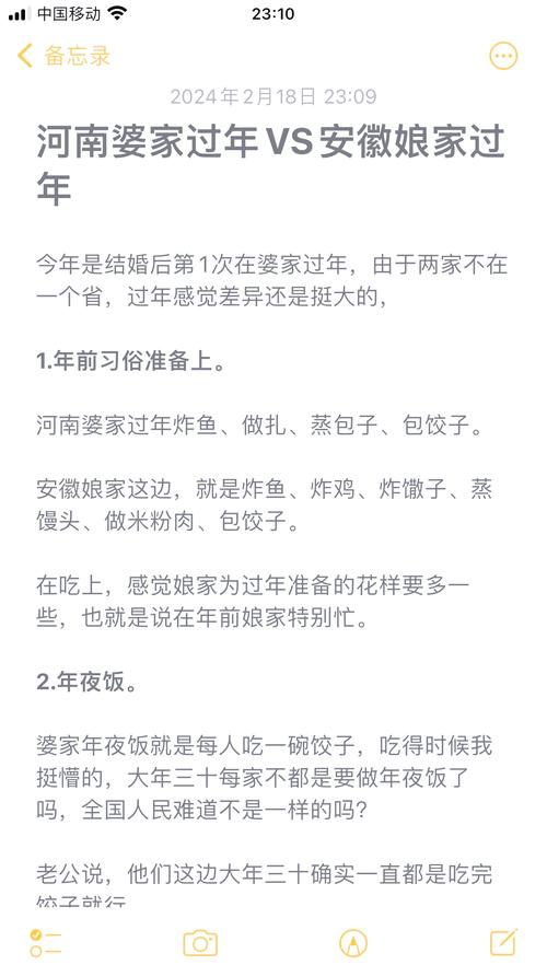 婆媳关系在特殊节日中的微妙与和谐：以春节为例