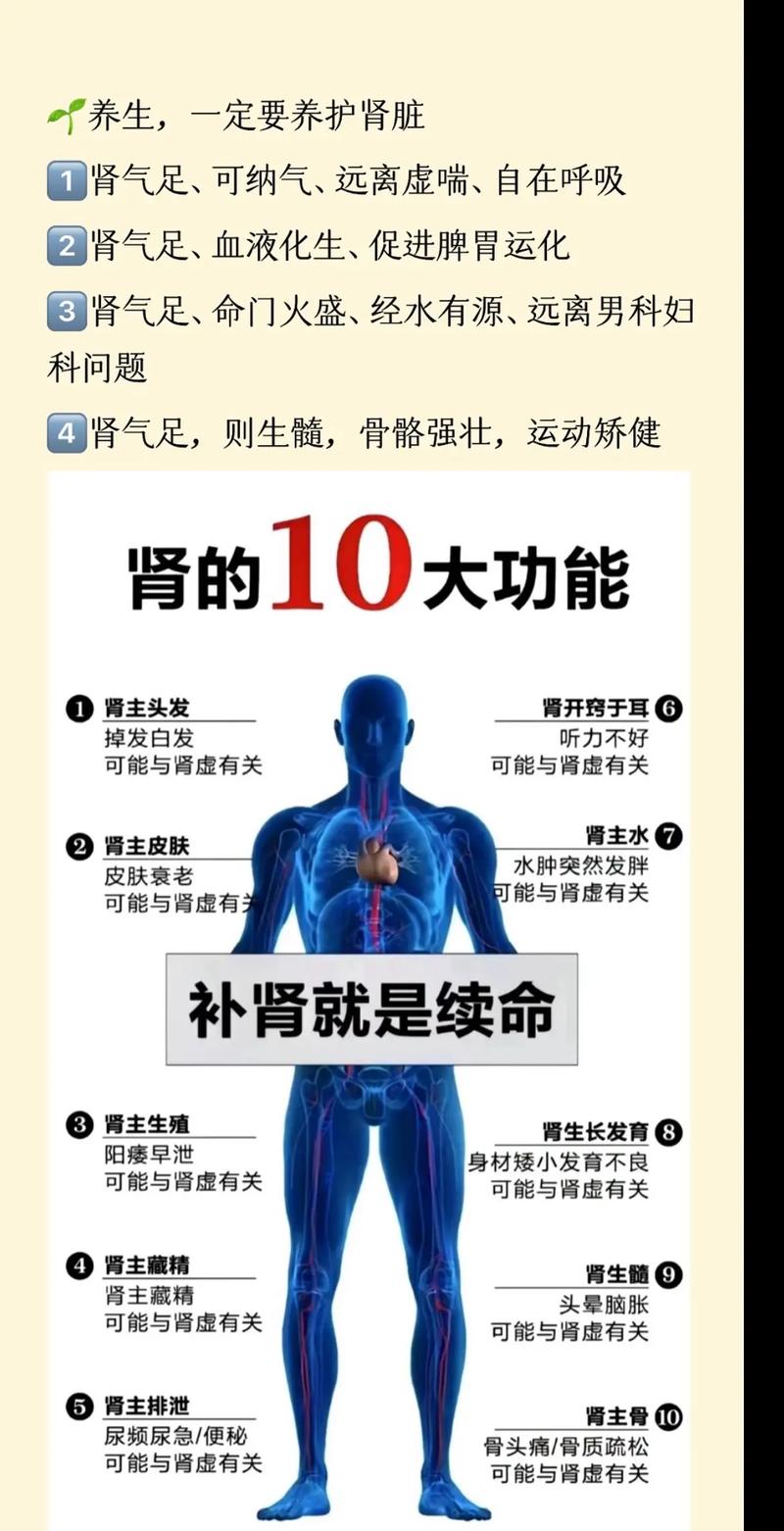 详细阅读:固肾养生:守护生命之本,畅享健康人生 固肾养生:守护生命之本,畅享健康人生