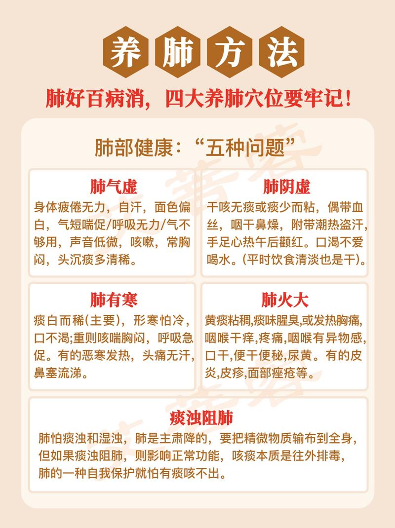 清肺养生全攻略：守护肺部健康，畅享清新人生