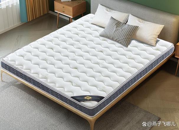 详细阅读:记忆棉床垫:舒适睡眠的科技选择 记忆棉床垫:舒适睡眠的科技选择