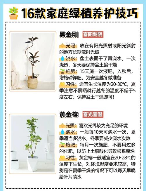 绿植养护全攻略：新手变达人，让家中绿植生机盎然