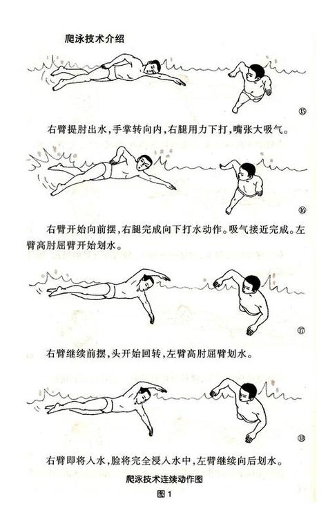 自由泳技巧提升与系统训练指南