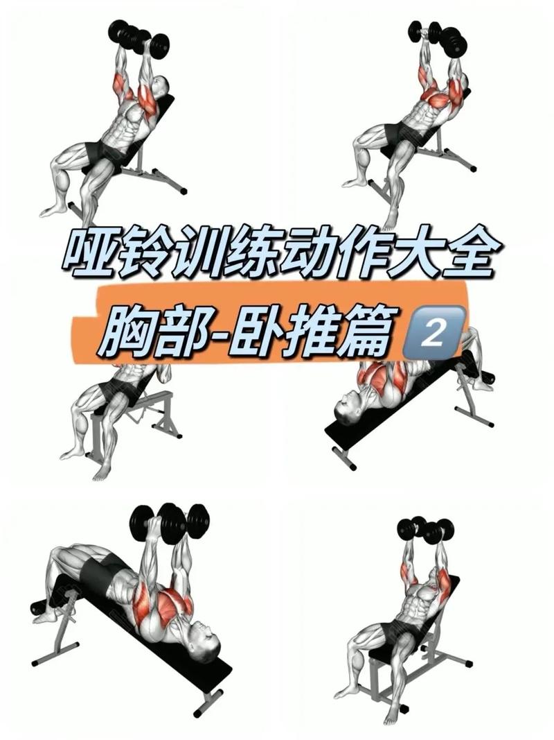 详细阅读:杠铃训练技巧:全面提升力量与健身效果的秘诀 杠铃训练技巧:全面提升力量与健身效果的秘诀