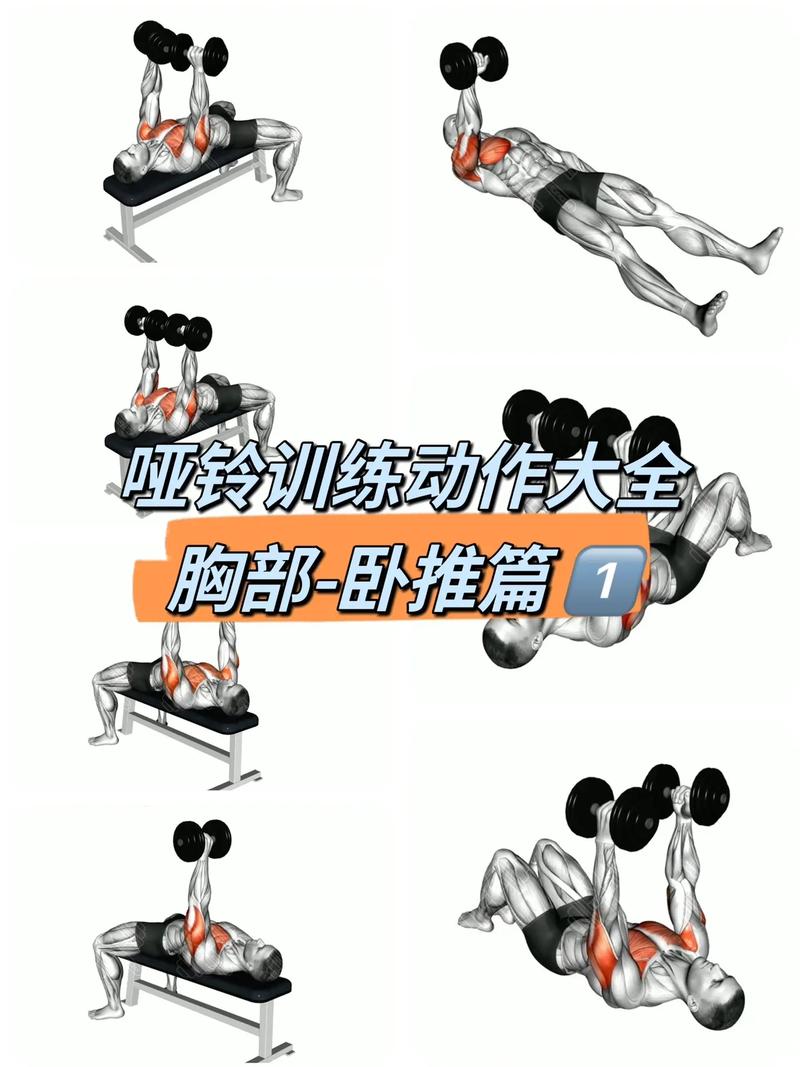 卧推的训练方法