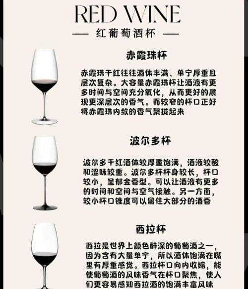 深度评测：探索学饮杯的奥秘与魅力