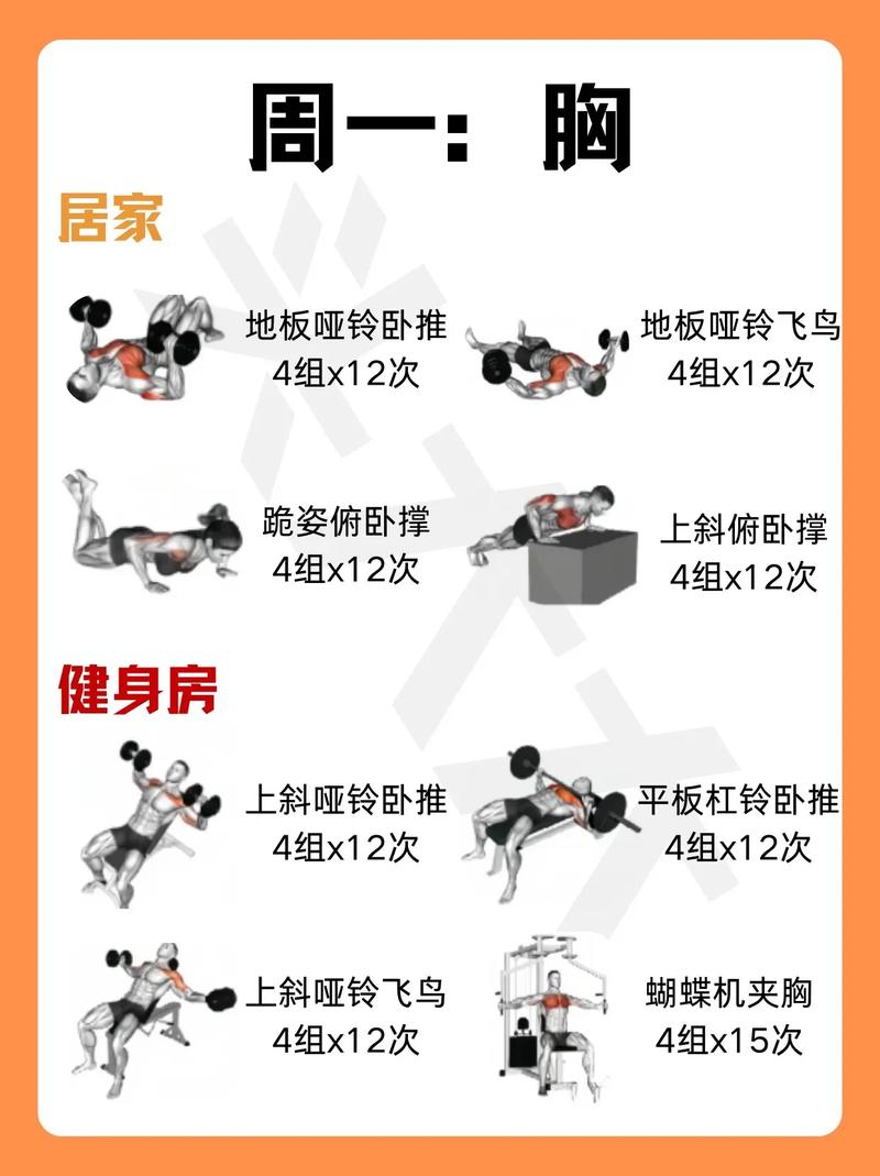 上班族健身计划：高效安排，活力满满每一天