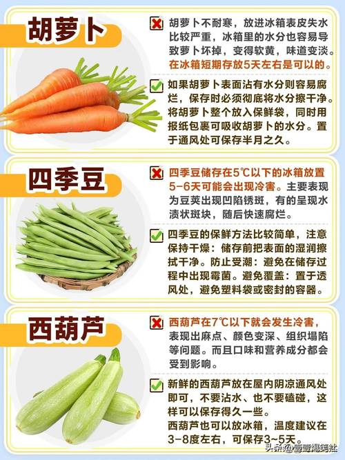 详细阅读:食材保鲜技术:锁住鲜美,守护健康 食材保鲜技术:锁住鲜美,守护健康