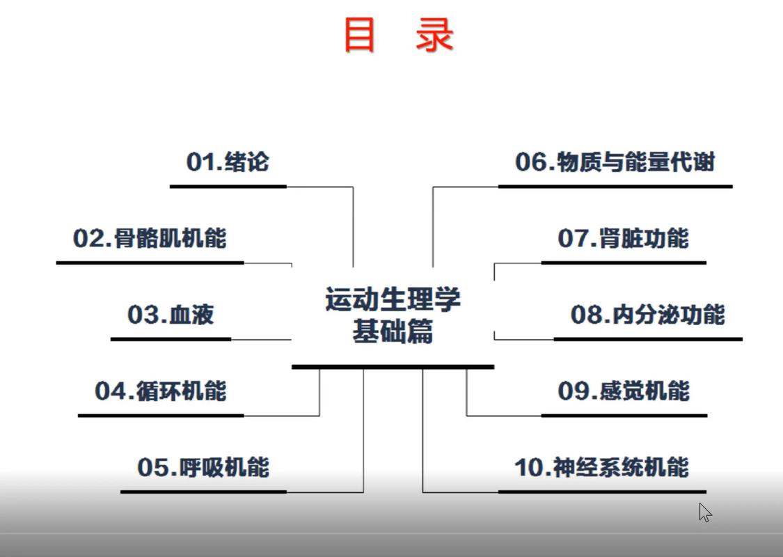 运动生理学：探索人体在运动中的奥秘