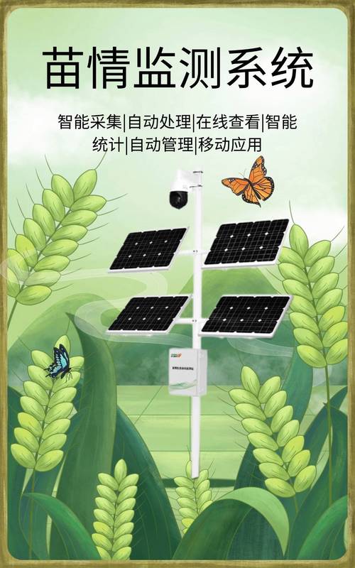 植物生长监测技术：绿动未来的科技之眼