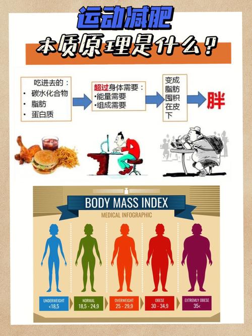 运动与减肥的科学原理