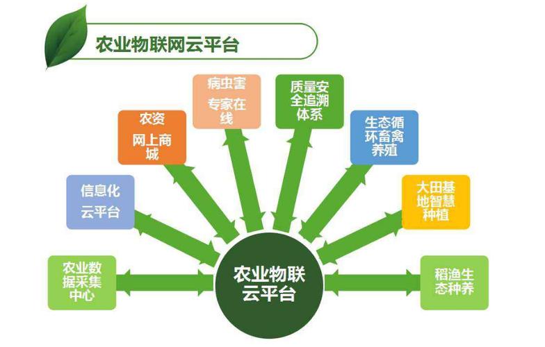 农业物联网平台：开启智慧农业新时代
