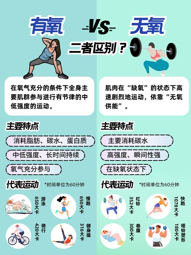 运动：消化系统健康的“活力源泉”