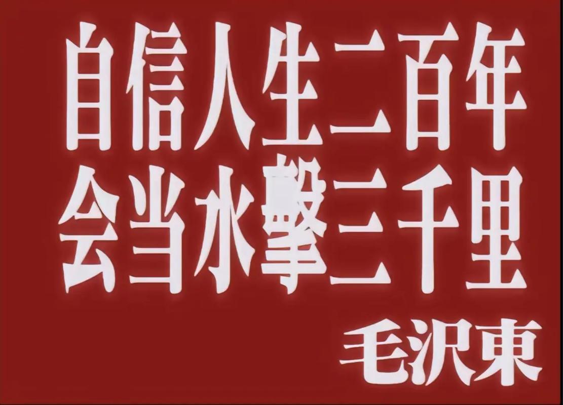 自信的风度：人生舞台上的熠熠光辉
