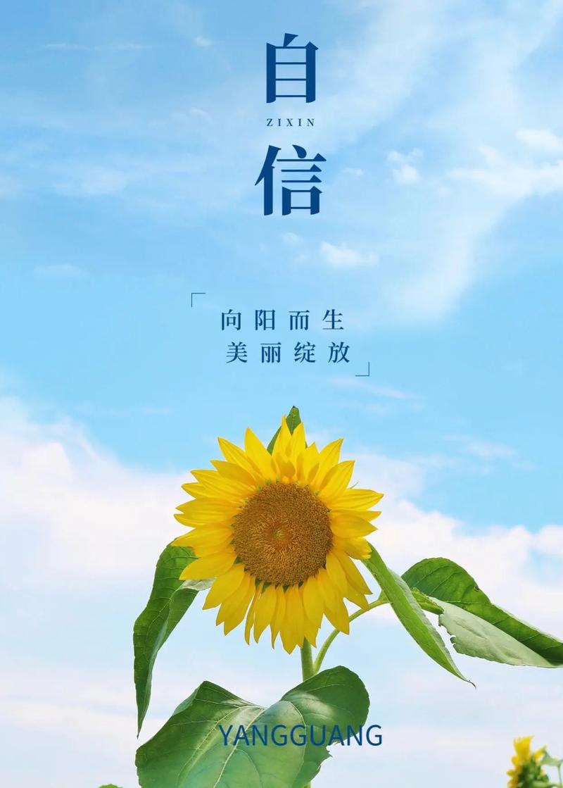 自信，人生最美的底色