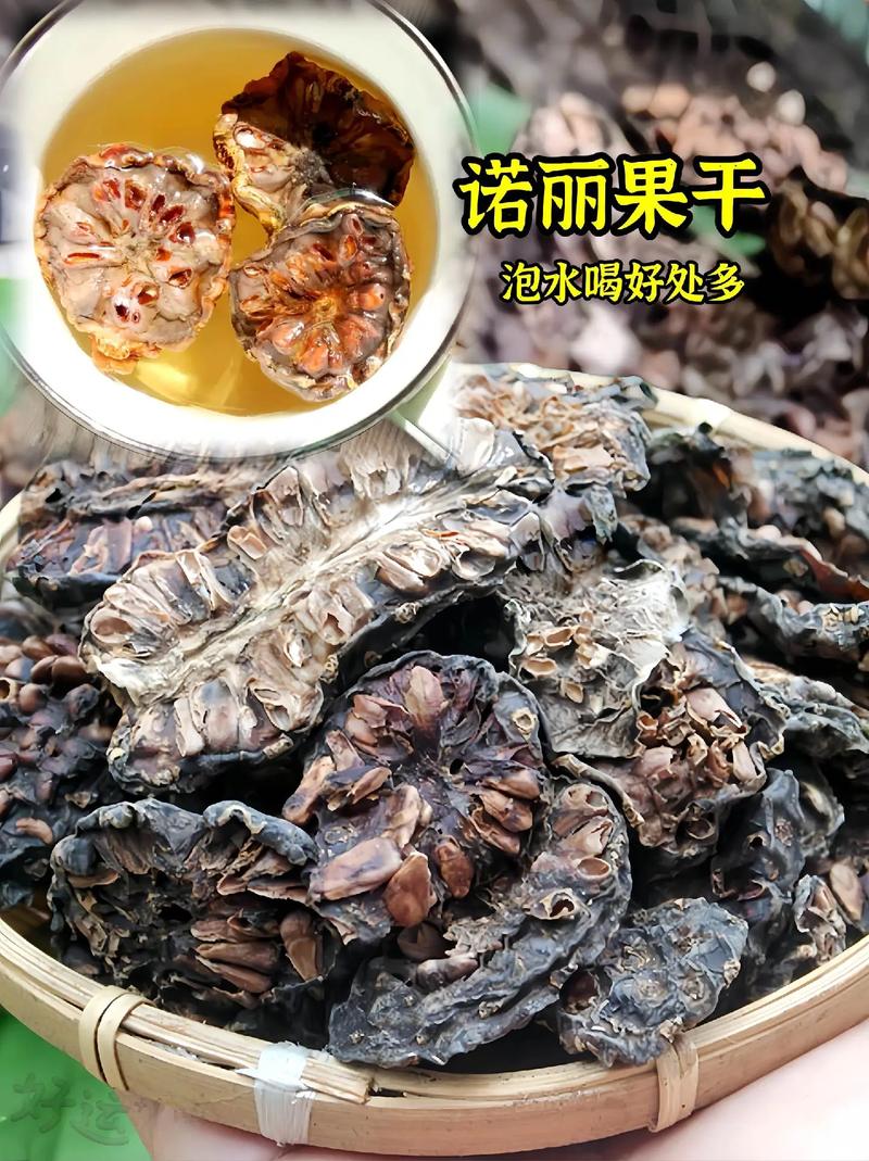 详细阅读:诺丽果干:来自热带的营养瑰宝 诺丽果干:来自热带的营养瑰宝