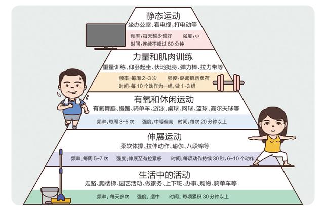 运动：解锁身体运动表现的密码