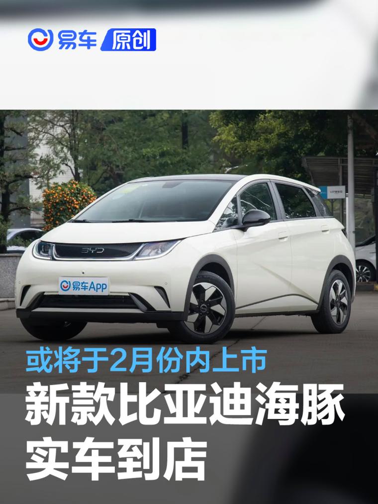 比亚迪海豚,比亚迪海豚2024款落地价