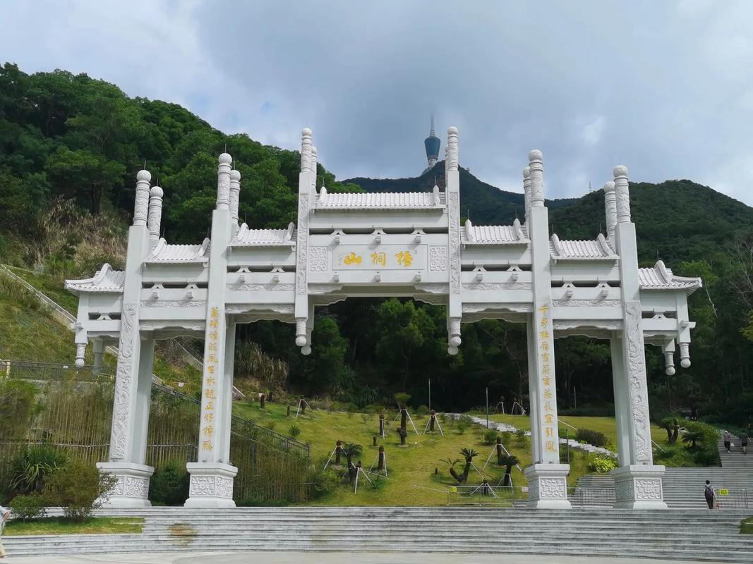 梧桐山,梧桐山海拔多少米高