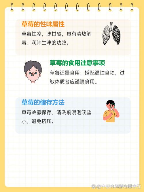草莓,草莓的功效与营养