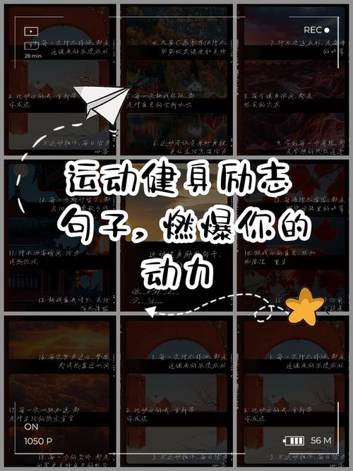 运动健身,运动健身励志句子