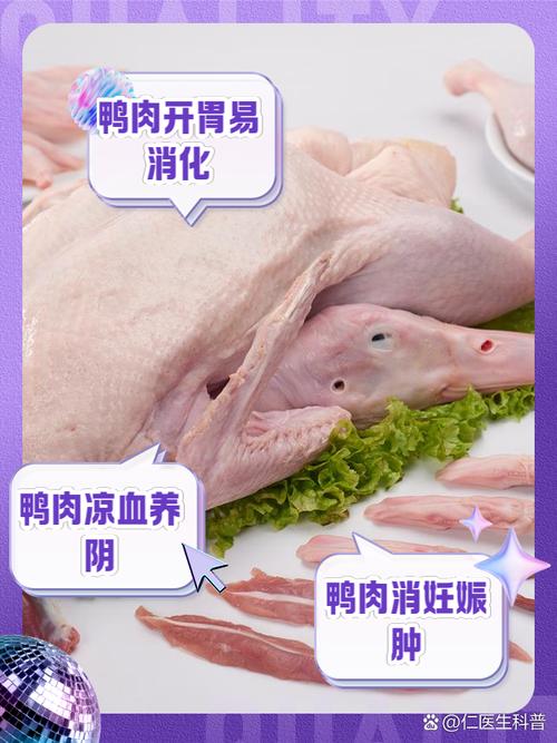 鸭肉,鸭肉的功效与作用
