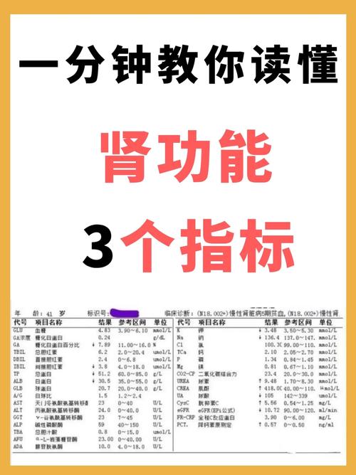 肾功能,肾功能检查哪些项目