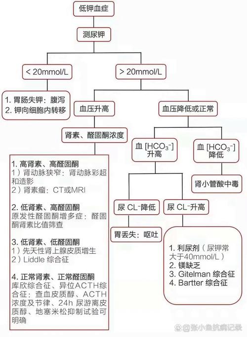 钾,钾低了会出现什么症状