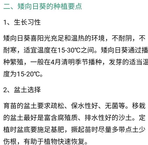 向日葵种植,向日葵种植时间和方法