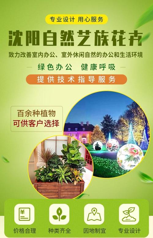绿植养护,绿植养护上门服务