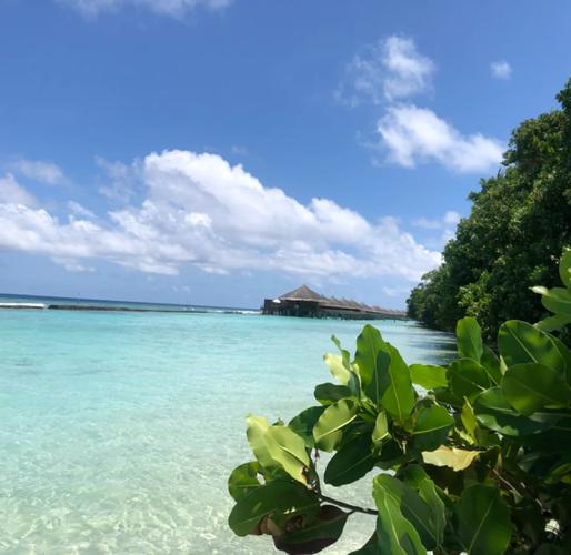 蜜月旅行目的地,蜜月旅行目的地推荐