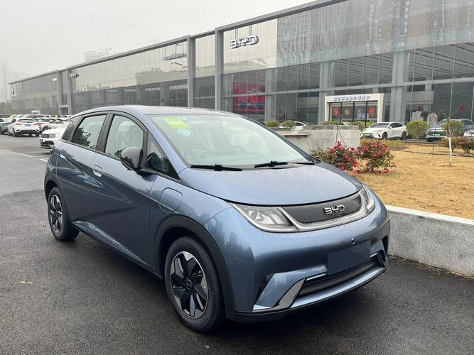 比亚迪,比亚迪纯电动车2024款最新款价格
