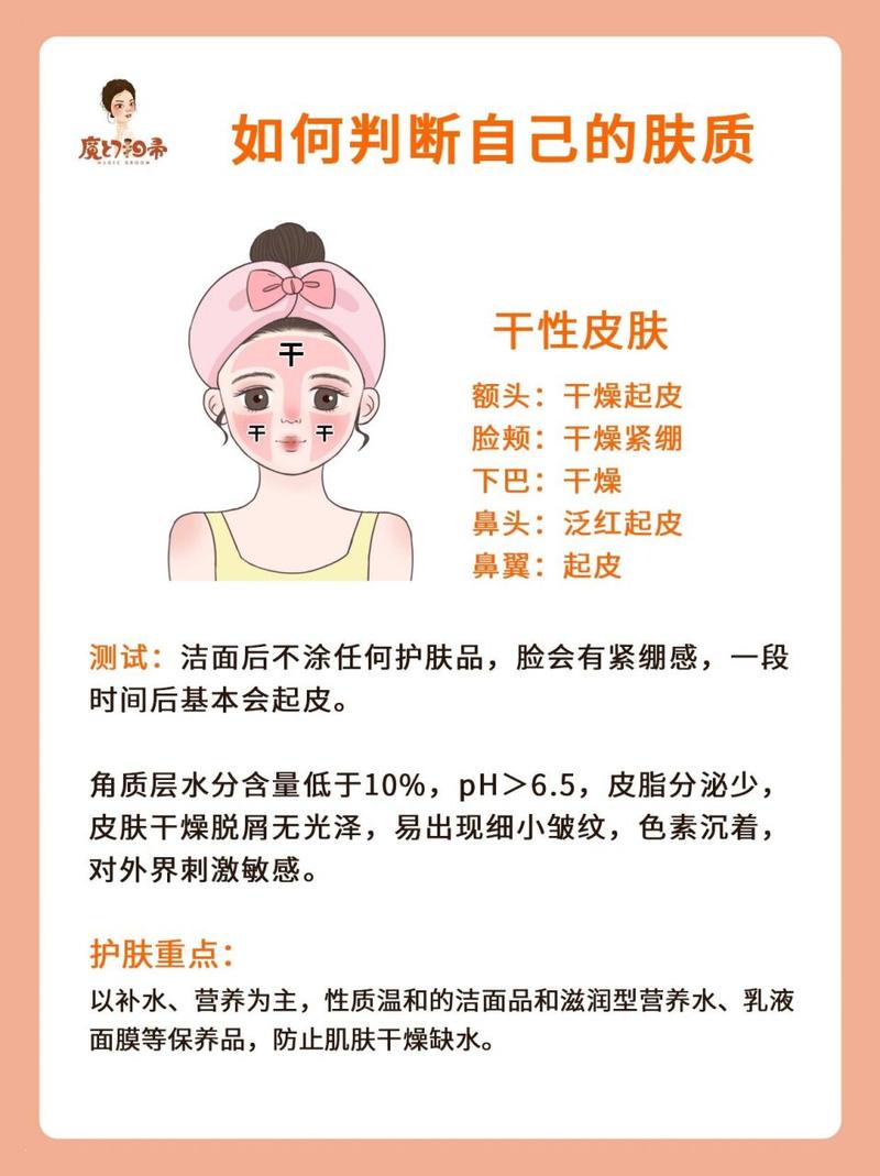 中性肤质特征,中性肤质特征有哪些